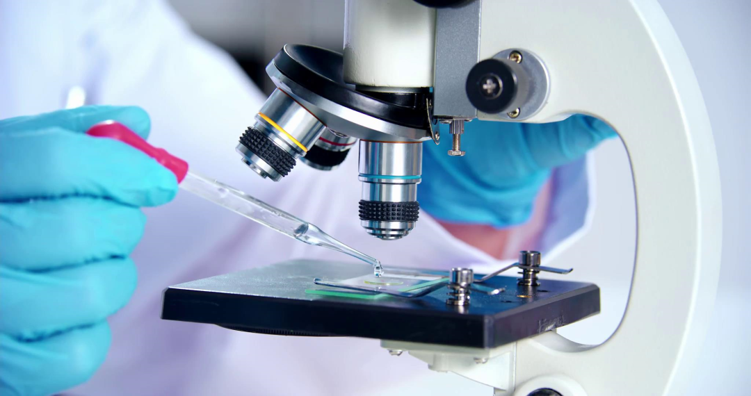 金狮贵宾会·宾至如归-尊贵显赫