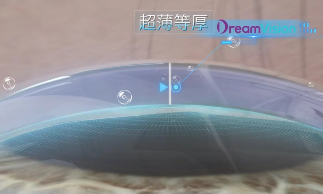 金狮贵宾会·宾至如归-尊贵显赫