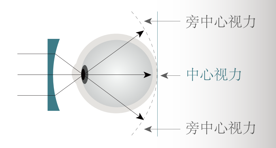 金狮贵宾会·宾至如归-尊贵显赫