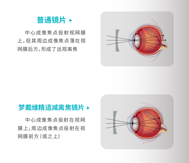金狮贵宾会·宾至如归-尊贵显赫