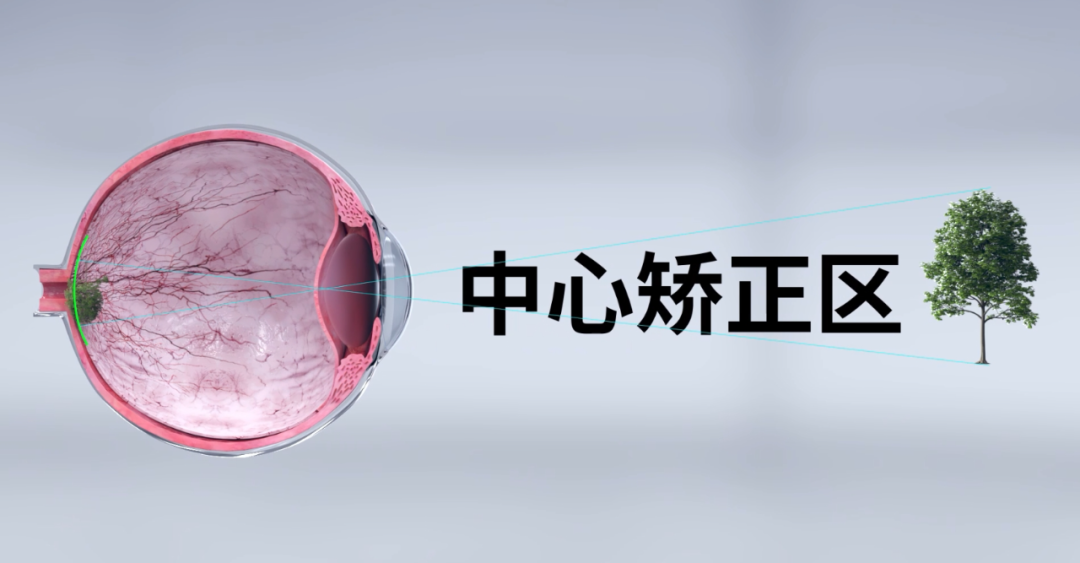 金狮贵宾会·宾至如归-尊贵显赫