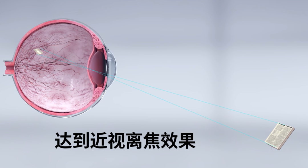 金狮贵宾会·宾至如归-尊贵显赫